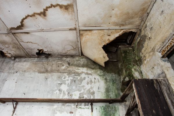 Cost of Water Damage Service in Schaumburg