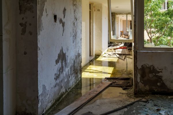 Cost of Water Removal Service in Schaumburg