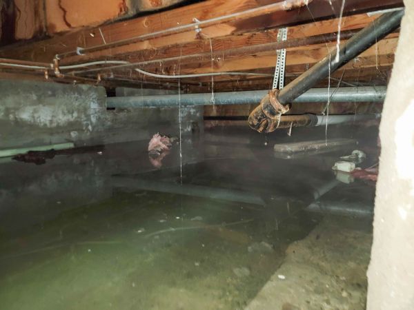 Water Mitigation Service in Schaumburg